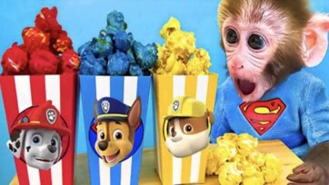 Colorful Farm Animals Adventure
