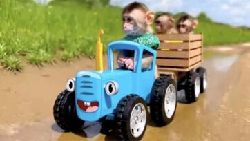 The Monkey’s Big Banana Journey on the Smiling Tractor