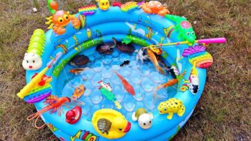 Little Pond Playtime with Swimming Fish Toys and Tiny Turtles