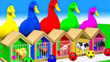 Color Ducks and Farm Animal Houses - Fun Learning Video for Kids